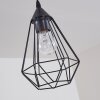 Cenova Hanger Zwart, 1-licht
