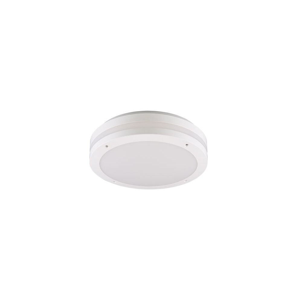 Reality KENDAL Buitenshuis plafond verlichting LED Wit, 1-licht main product photo
