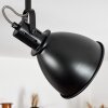 Koppom Plafondlamp Zwart, 2-lichts