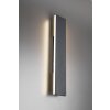 Trio CONCHA Muurlamp LED Antraciet, 2-lichts