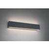 Trio CONCHA Muurlamp LED Antraciet, 2-lichts