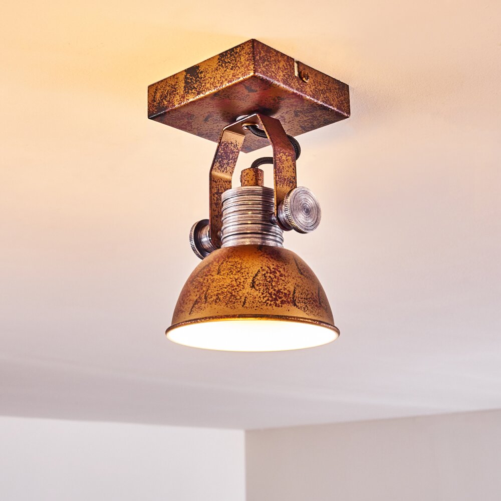 Gudo Plafondlamp Bruin, Brons, 1-licht