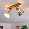 Berkeley Plafondlamp Donkerbruin, Gegalvaniseerd, 2-lichts