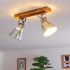 Berkeley Plafondlamp Donkerbruin, Gegalvaniseerd, 2-lichts