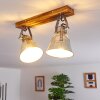 Berkeley Plafondlamp Donkerbruin, Gegalvaniseerd, 2-lichts