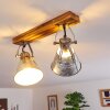 Berkeley Plafondlamp Donkerbruin, Gegalvaniseerd, 2-lichts
