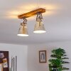 Berkeley Plafondlamp Donkerbruin, Gegalvaniseerd, 2-lichts