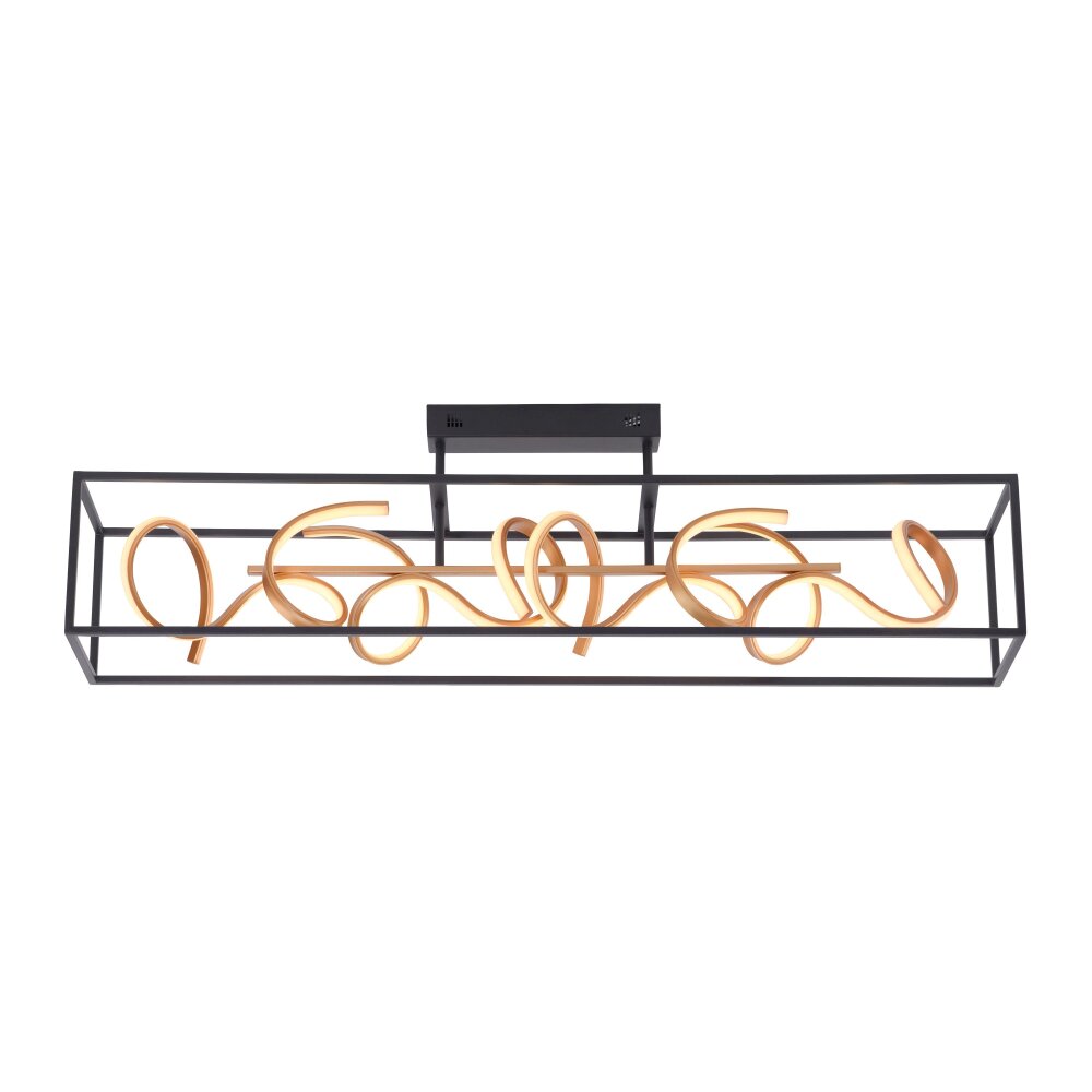 Paul Neuhaus SELINA Plafondlamp LED Zwart, 4-lichts main product photo
