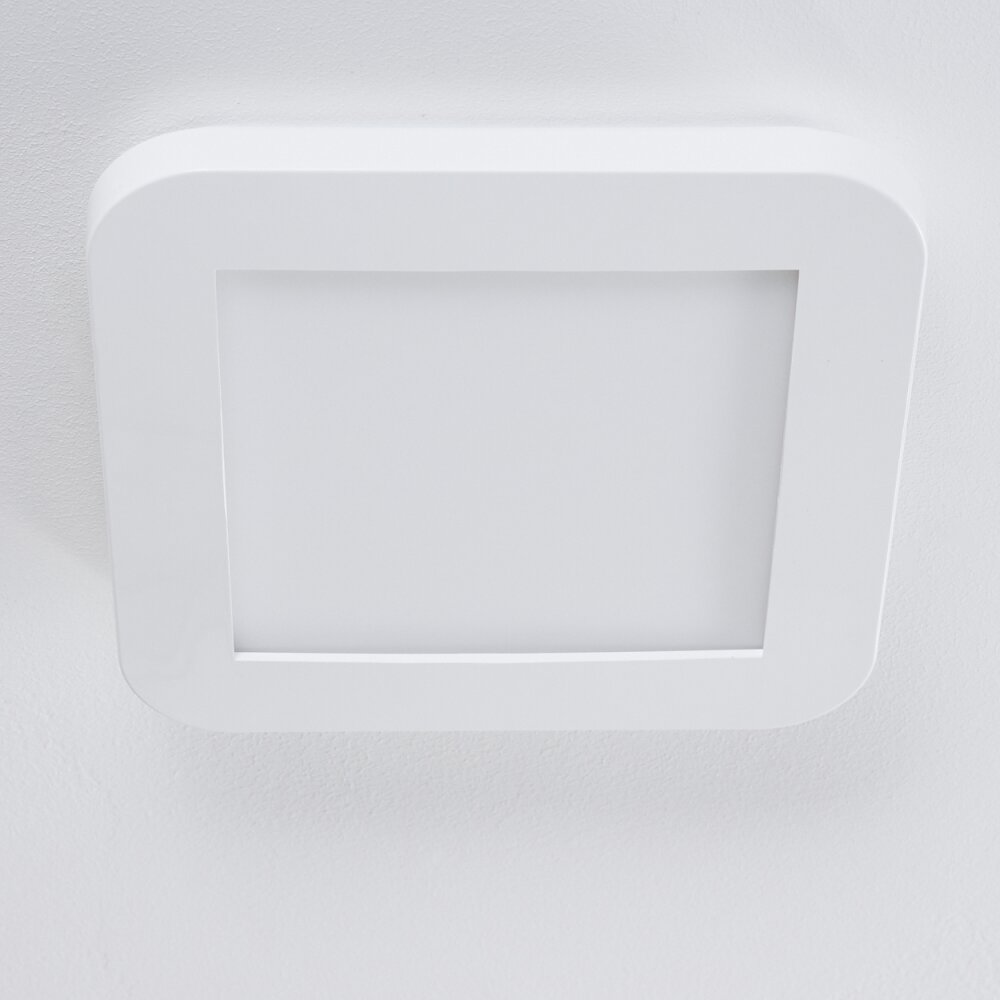 Siguna Plafondlamp LED Wit, 1-licht