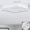 Siguna Plafondlamp LED Wit, 1-licht