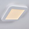 Siguna Plafondlamp LED Wit, 1-licht