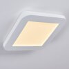 Siguna Plafondlamp LED Wit, 1-licht