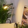 Mildura Tafellamp LED Zwart, Wit, 1-licht