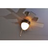 Globo MARVA Ventilator roestvrij staal, Grijs, Nikkel mat, Wit, 1-licht
