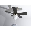 Globo MARVA Ventilator roestvrij staal, Grijs, Nikkel mat, Wit, 1-licht