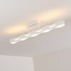 Nagold Plafondlamp LED Wit, 1-licht
