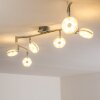 Donot Plafondlamp LED Nikkel mat, 6-lichts