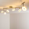 Donot Plafondlamp LED Nikkel mat, 6-lichts