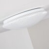 Norton Star Plafondlamp LED Wit, 1-licht, Afstandsbediening, Kleurwisselaar