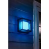Philips Hue Ambiance White & Color Econic Wandlamp LED Zwart, 1-licht, Kleurwisselaar
