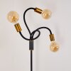 Hovslund Staande lamp Zwart-Goud, 3-lichts