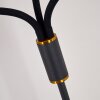 Hovslund Staande lamp Zwart-Goud, 3-lichts