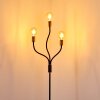 Hovslund Staande lamp Zwart-Goud, 3-lichts