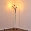 Hovslund Staande lamp Zwart-Goud, 3-lichts