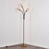 Hovslund Staande lamp Zwart-Goud, 3-lichts