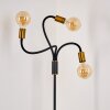 Hovslund Staande lamp Zwart-Goud, 3-lichts
