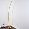 Nagu Staande lamp LED Goud, 1-licht