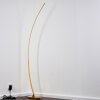 Nagu Staande lamp LED Goud, 1-licht