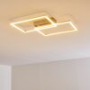 Colombero Plafondlamp LED Zilver, 2-lichts, Afstandsbediening