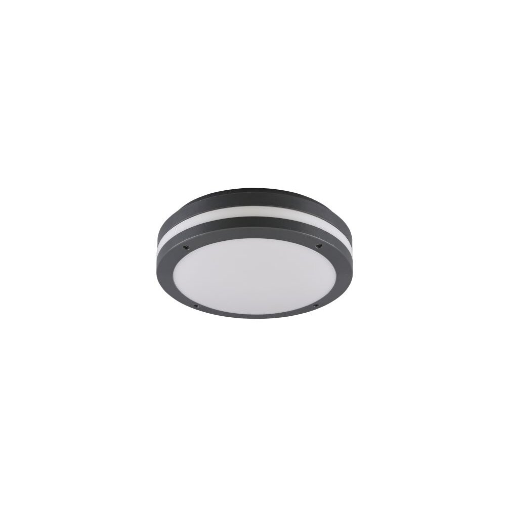 Reality KENDAL Buitenshuis plafond verlichting LED Antraciet, 1-licht main product photo