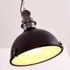 Ilvy Hanger Zwart, 1-licht