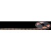 Globo Band LED, 150-lichts, Kleurwisselaar