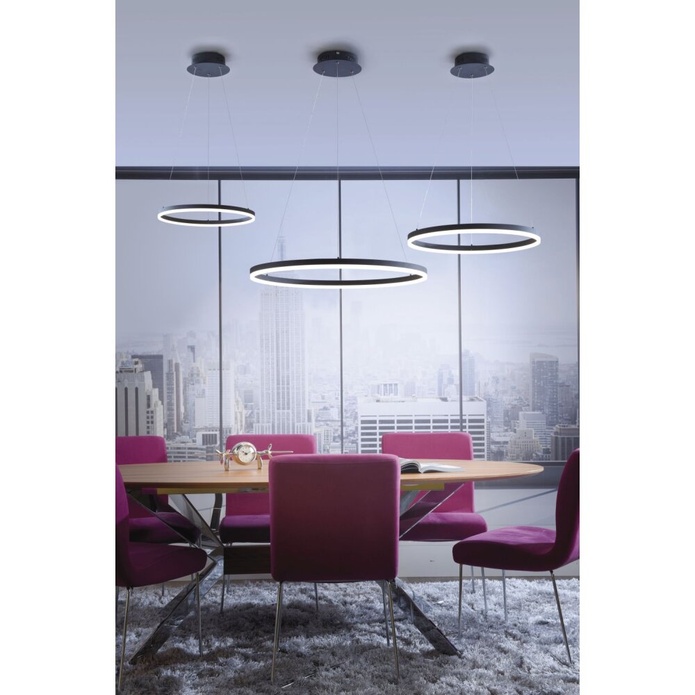 Paul Neuhaus TITUS Hanglamp LED Antraciet, 1-licht main product photo