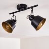 Safari Plafondlamp Zwart, 2-lichts