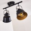 Safari Plafondlamp Zwart, 2-lichts