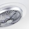 Tamworth plafondventilator LED Zilver, Transparant, Helder, 1-licht, Afstandsbediening