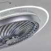 Tamworth plafondventilator LED Zilver, Transparant, Helder, 1-licht, Afstandsbediening
