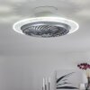 Tamworth plafondventilator LED Zilver, Transparant, Helder, 1-licht, Afstandsbediening