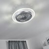 Tamworth plafondventilator LED Zilver, Transparant, Helder, 1-licht, Afstandsbediening