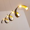 Rezat Hanglamp LED Zwart-Goud, 1-licht