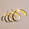 Rezat Hanglamp LED Zwart-Goud, 1-licht