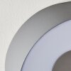 Felsted Buiten muurverlichting LED Zilver, 1-licht