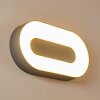 Felsted Buiten muurverlichting LED Zilver, 1-licht