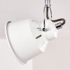 Safari Plafondlamp Wit, 2-lichts