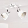 Safari Plafondlamp Wit, 2-lichts