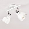 Safari Plafondlamp Wit, 2-lichts